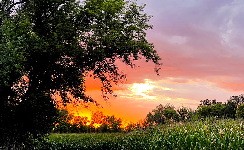 Sunset in Harvard IL
